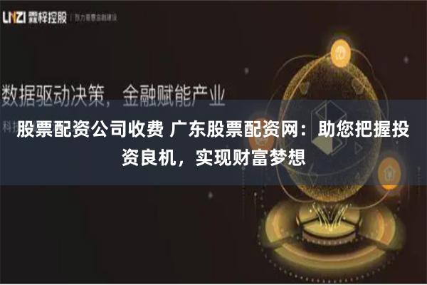 股票配资公司收费 广东股票配资网：助您把握投资良机，实现财富梦想