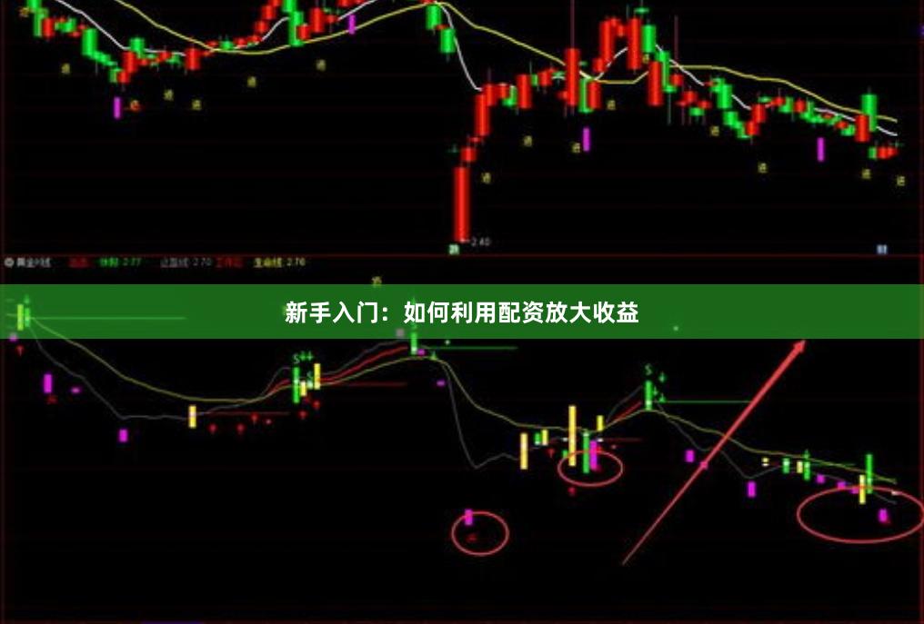 新手入门：如何利用配资放大收益