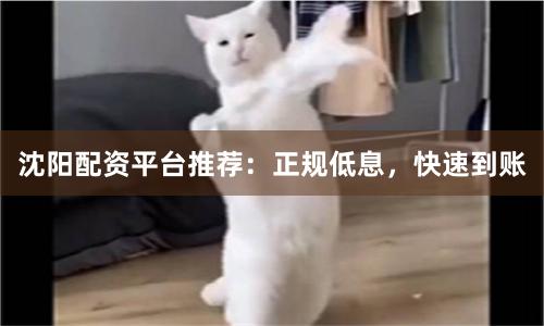 沈阳配资平台推荐：正规低息，快速到账